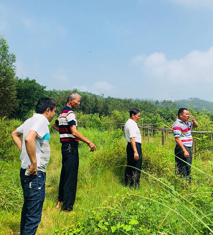 Z6·尊龙凯时「中国区」官方网站