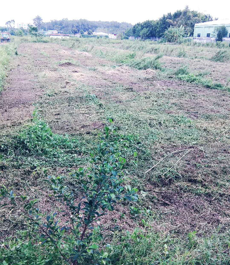 Z6·尊龙凯时「中国区」官方网站