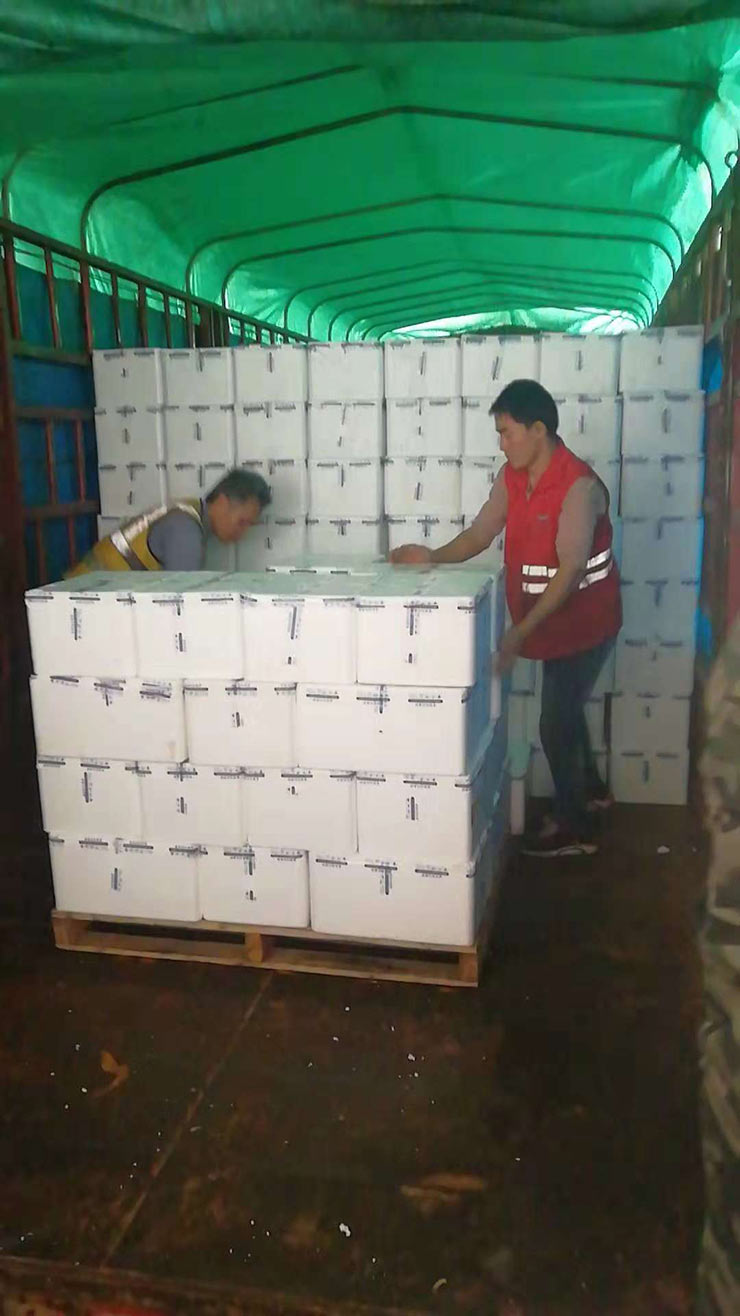 Z6·尊龙凯时「中国区」官方网站