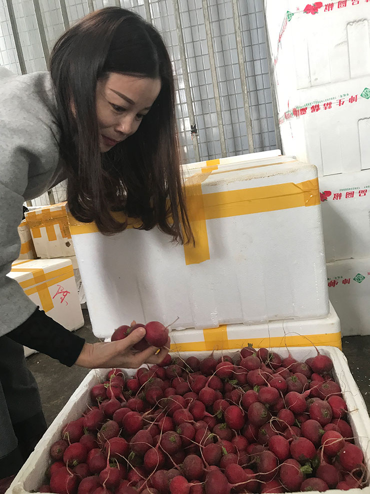 Z6·尊龙凯时「中国区」官方网站