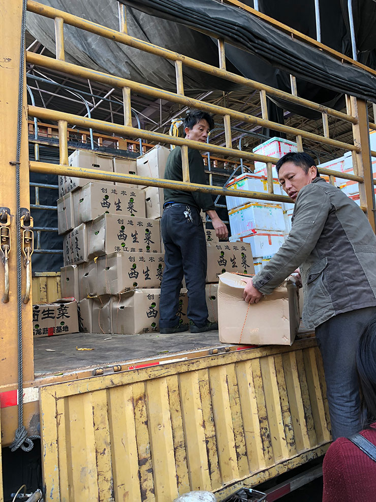 Z6·尊龙凯时「中国区」官方网站