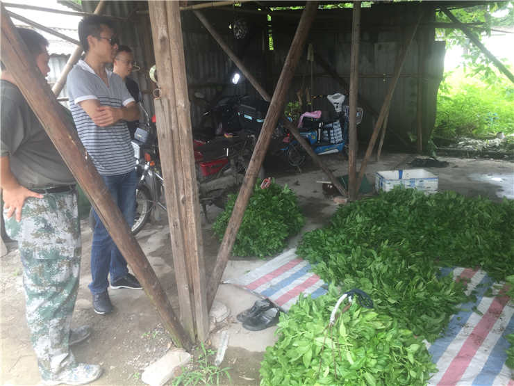 Z6·尊龙凯时「中国区」官方网站