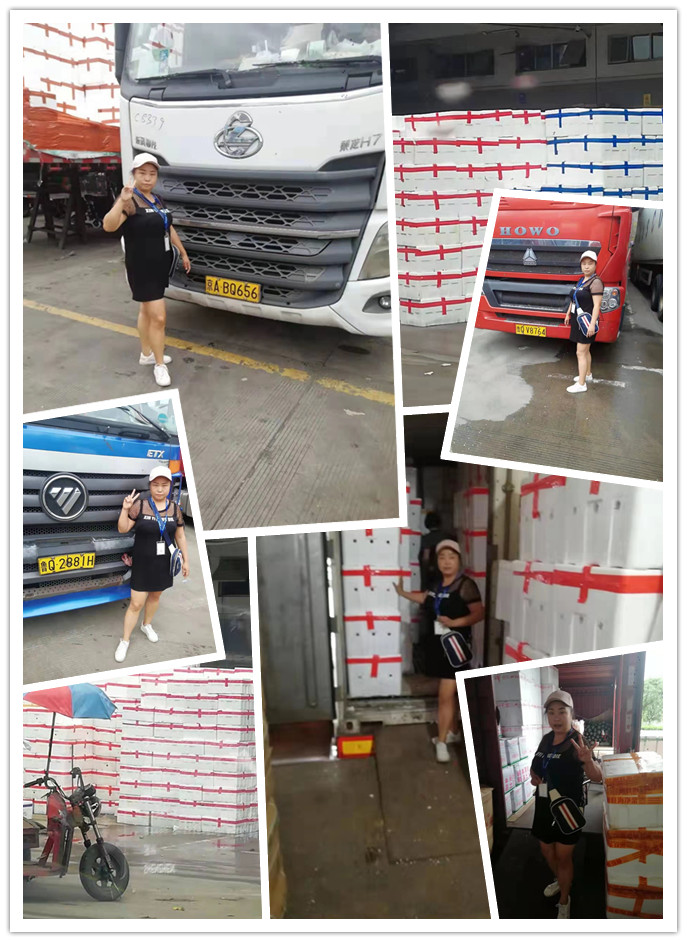 Z6·尊龙凯时「中国区」官方网站