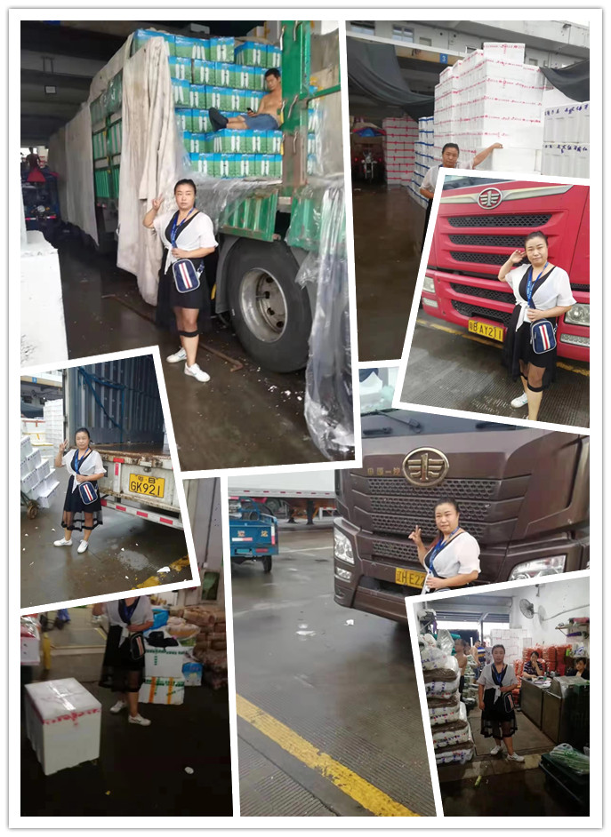 Z6·尊龙凯时「中国区」官方网站