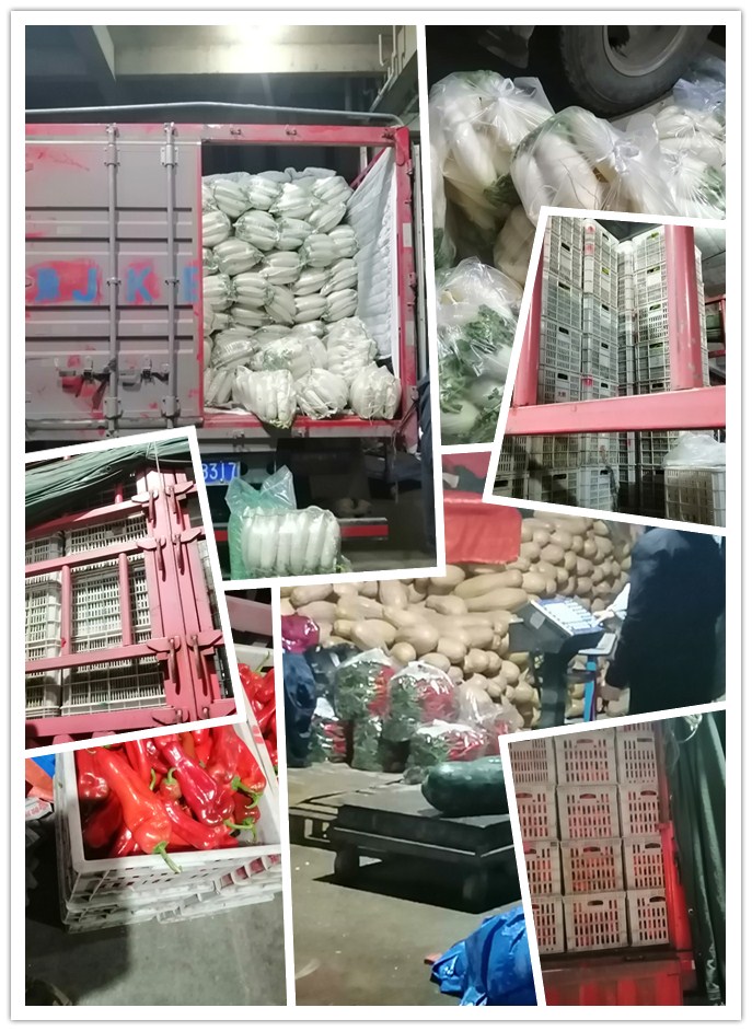 Z6·尊龙凯时「中国区」官方网站