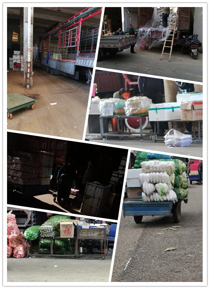 Z6·尊龙凯时「中国区」官方网站