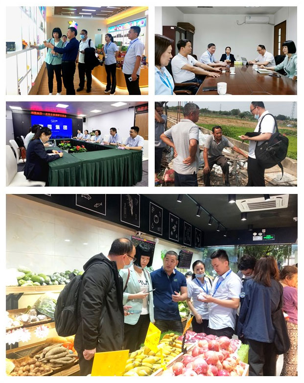 Z6·尊龙凯时「中国区」官方网站