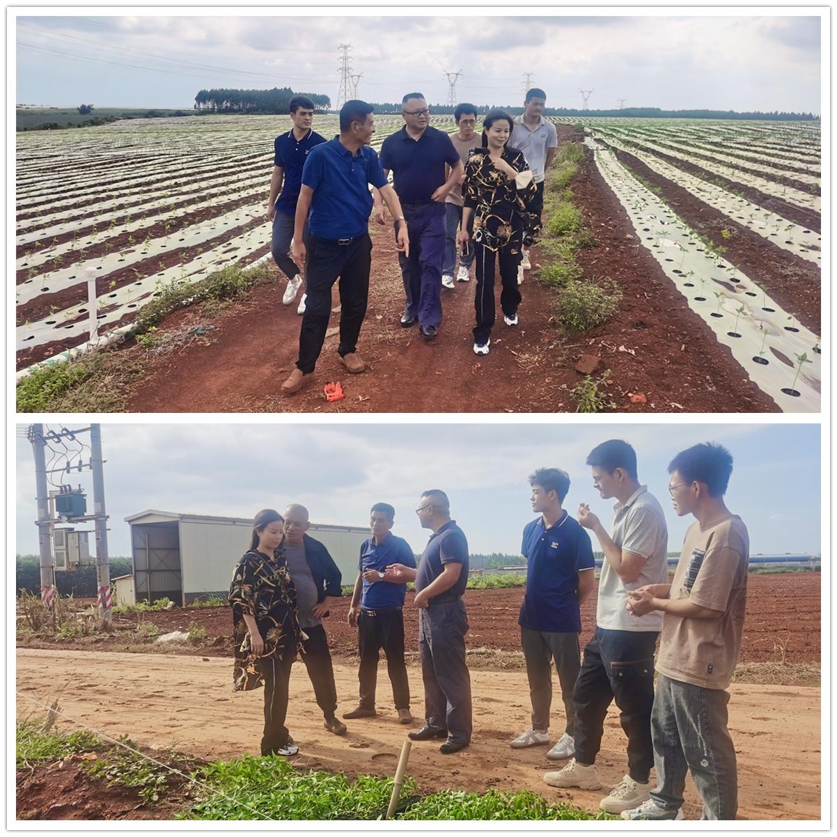 Z6·尊龙凯时「中国区」官方网站