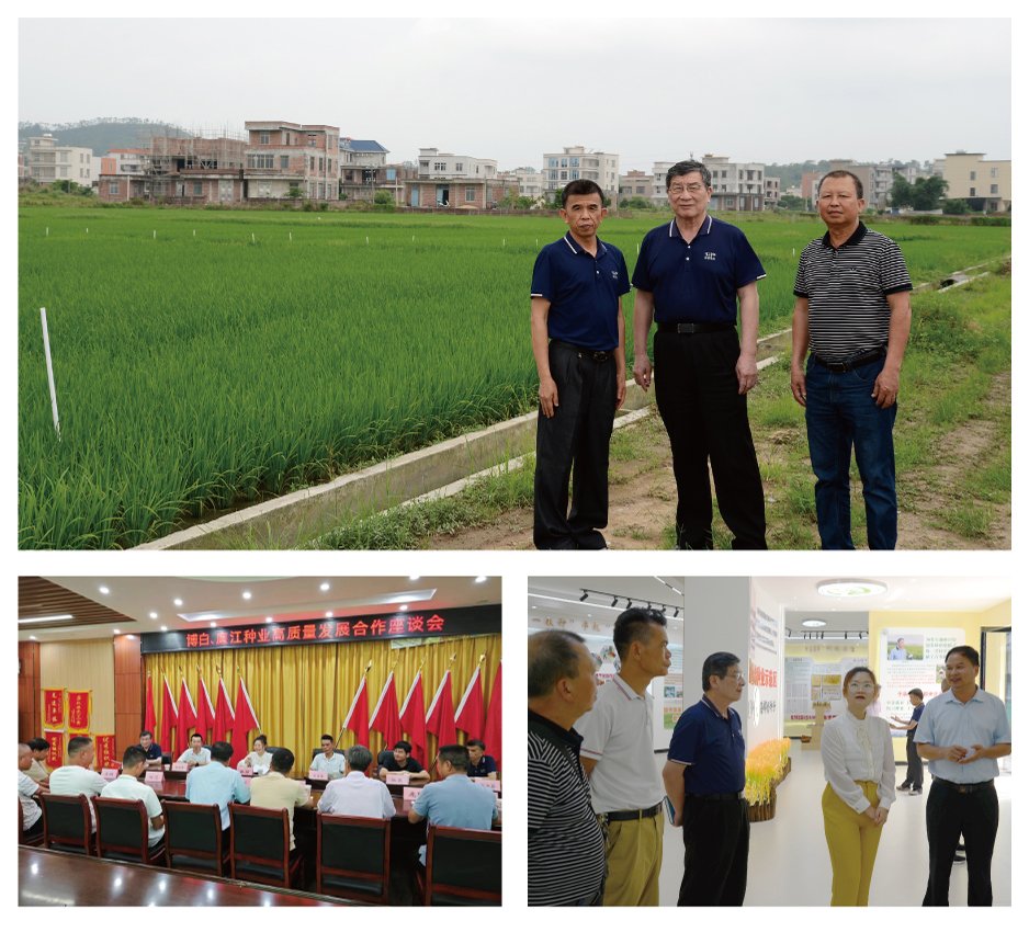 Z6·尊龙凯时「中国区」官方网站